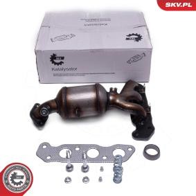 Katalysator 62SKV018