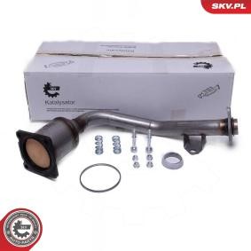 Acquista Catalizzatore da ESEN SKV 62SKV022 a buon mercato per soli 187,26 €