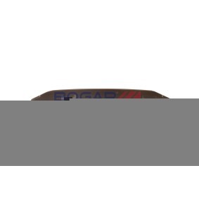 Gleitschiene, Steuerkette B1313122 von BOGAP günstig für 12,74 € online kaufen
