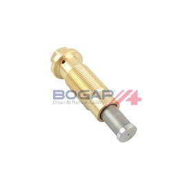 Steuerkette C1310108 von BOGAP günstig für 23,34 € online kaufen