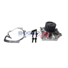 Achetez des Pompe à eau BOGAP V4234100 à prix pour 38,02 €