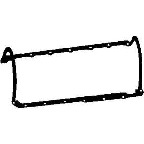 Ölwannendichtung 028043P