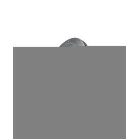 Rumpfgruppe, Lader K00248C für MERCEDES-BENZ