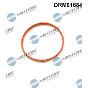 Dichtung, Drosselklappe DRM01684