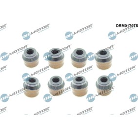 Ventilschaftdichtung DRM01707S