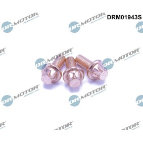 Schraube, Abgasanlage DRM01943S