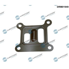 Dichtung, Wasserpumpe DRM01949