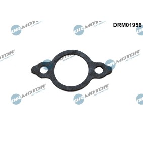 Osta Tiiviste, EGR-venttiilin johdin DR.MOTOR AUTOMOTIVE:llä DRM01956 edullisesti hintaan 11,73 €
