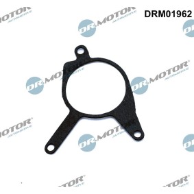 Dichtung, Unterdruckpumpe DRM01962