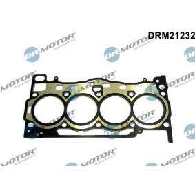 Acquista Guarnizione testata da DR.MOTOR AUTOMOTIVE DRM21232 a buon mercato per soli 57,64 €
