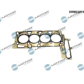 Acquista Guarnizione testata da DR.MOTOR AUTOMOTIVE DRM22215 a buon mercato per soli 67,92 €