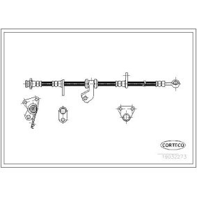 Acquista Tubo freno da CORTECO 19032273 a buon mercato per soli 47,77 €