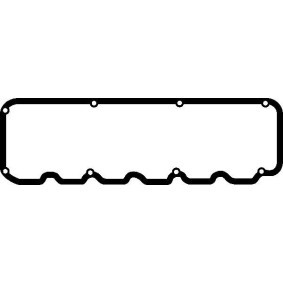 Ventildeckeldichtung 423932P