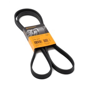 Keilrippenriemen 5PK1815