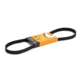 Achetez des Courroie Poly-V CONTITECH 5PK940 à prix pour 10,39 €