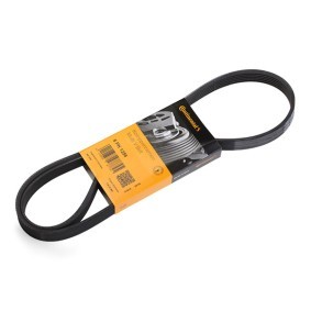 Keilrippenriemen 6PK1256