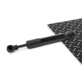 Heckklappendämpfer 219G1504