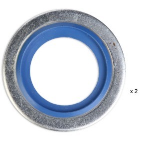 Acquista Anello di tenuta da RIDEX a buon mercato per soli 1,28 €