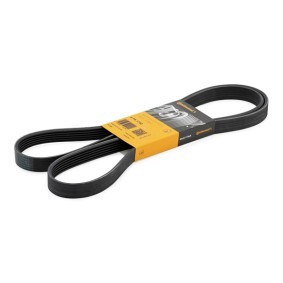 Achetez des Courroie Poly-V CONTITECH 6PK1740 à prix pour 16,40 €