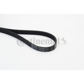 Achetez des Courroie Poly-V CONTITECH 6PK2000 à prix pour 23,65 €