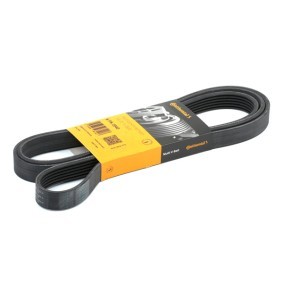 Acquista Cinghia servizi da CONTITECH 6PK2040 a buon mercato per soli 15,15 €