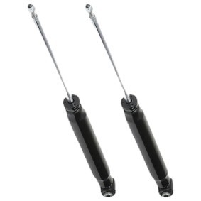 Compre Amortecedor da RIDEX 854S19321 a um preço baixo por 31,66 €
