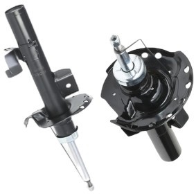 Stoßdämpfer von RIDEX