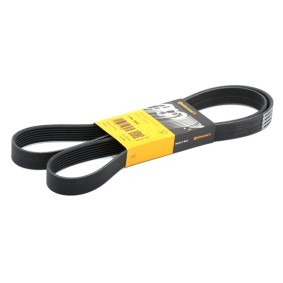 Acquista Cinghia servizi da CONTITECH 7PK1642 a buon mercato per soli 21,55 €