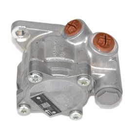 Servopumpe von IVECO