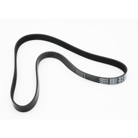 Compre Correia trapezoidal estriada da IVECO 504384313 a um preço baixo por 70,23 €