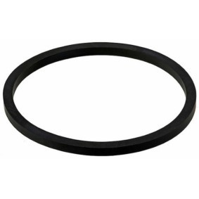 Achetez des Joint d'étanchéité, pompe à eau IVECO 5802455380 à prix pour 19,60 €