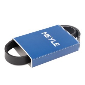 Achetez des Courroie Poly-V MEYLE 050 006 0750 à prix pour 7,59 €