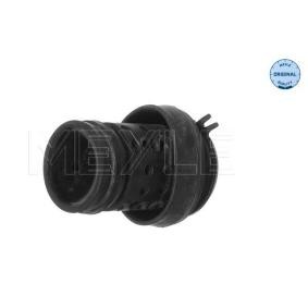 Motorlager 100 199 0062 von MEYLE günstig für 24,35 € online kaufen