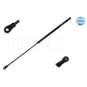 Achetez des Vérin de capot MEYLE 140 161 0070 à prix pour 24,52 €