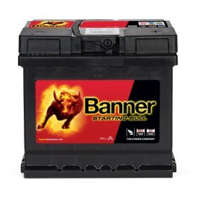 Batterie für HONDA von BANNER