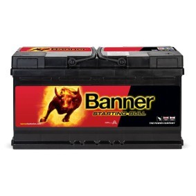 Batterie 010595330101