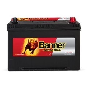 Batterie 013595040101