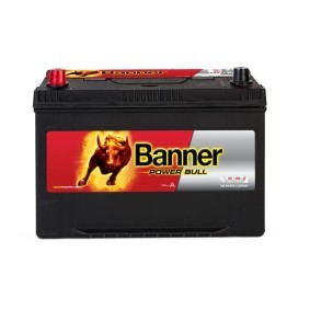 Batterie 013595050101