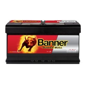Batterie 013595330101