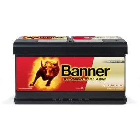 Batterie 016592010101 für RAM