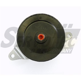Servopumpe STSP110 für PRIMERA Traveller (W10) für 233,24 CHF