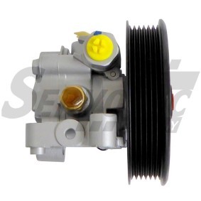 Servopumpe STSP4197