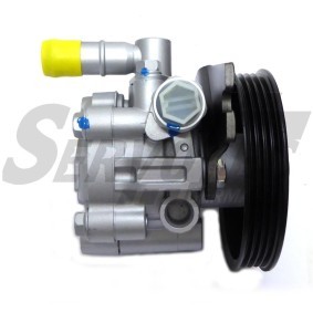 Servopumpe STSP491
