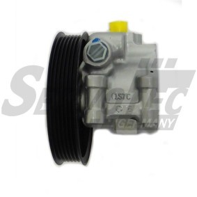 Servopumpe STSP7641 von Servotec günstig für 199,02 € online kaufen