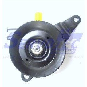 Servopumpe STSP8867 für Almera II Limousine (N16) für 210,61 CHF