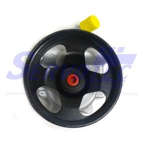 Achetez des Pompe de direction assistée Servotec STSP9909 à prix pour 221,48 €