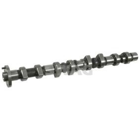 Nockenwelle 10 92 1670 von SWAG günstig für 181,33 € online kaufen