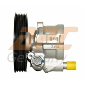 Servopumpe LP800359-R