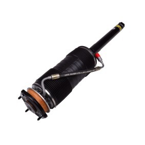 Federbein von MiesslerAutomotive günstig für 1381,07 €