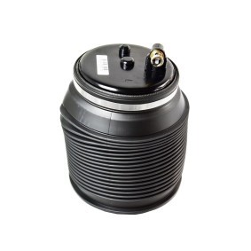 Acquista Molla pneumatica da MiesslerAutomotive 1119-01-0010 a buon mercato per soli 228,20 €